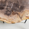 Beautiful Slice of Petrified Wood on stand PetW/042