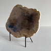 Beautiful Slice of Petrified Wood on stand PetW/042