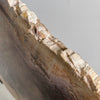 Beautiful Slice of Petrified Wood on stand PetW/042