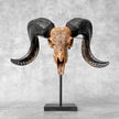 Carved Ram Skull with Big Lotus motif on stand - Skull,A/161