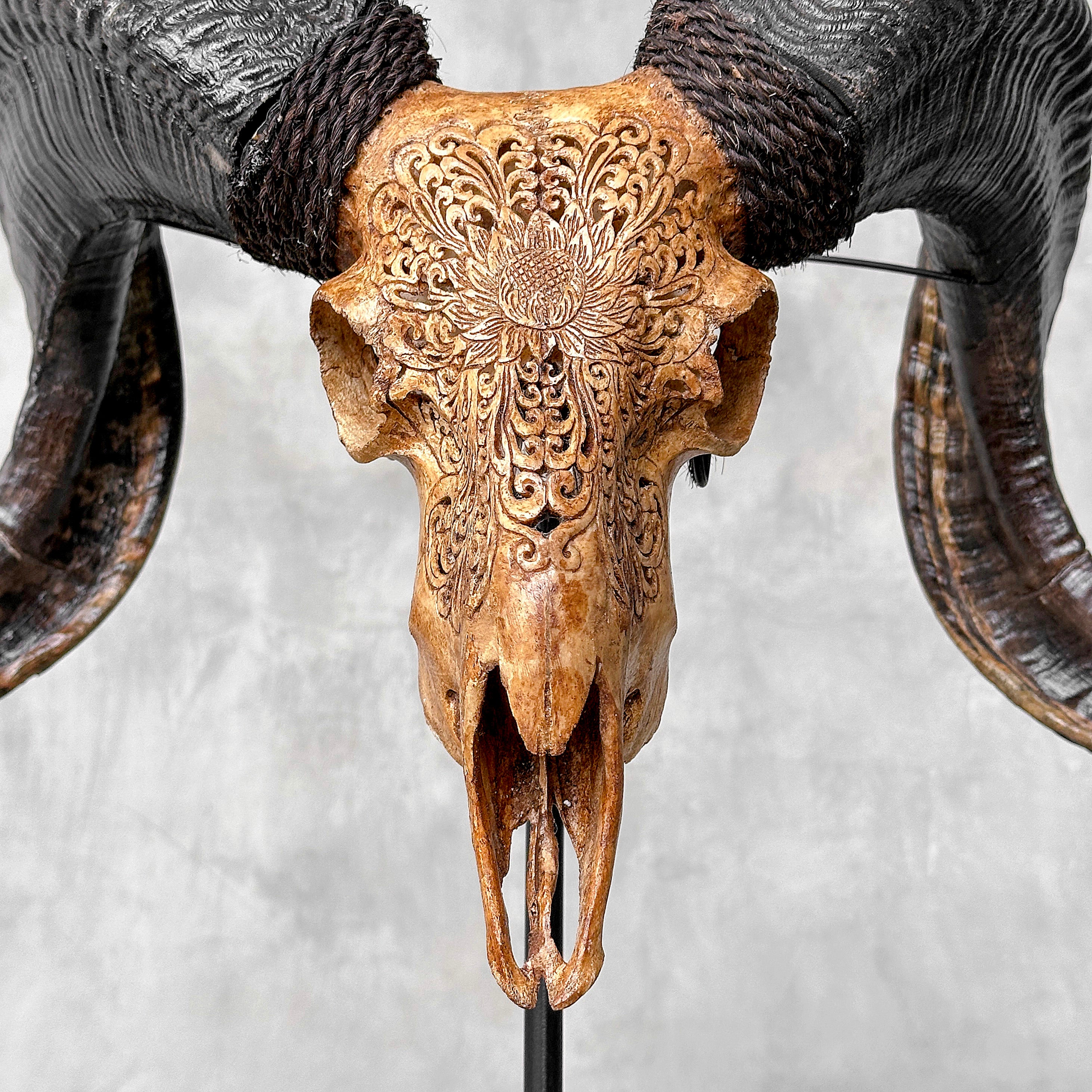 Carved Ram Skull with Big Lotus motif on stand - Skull,A/161
