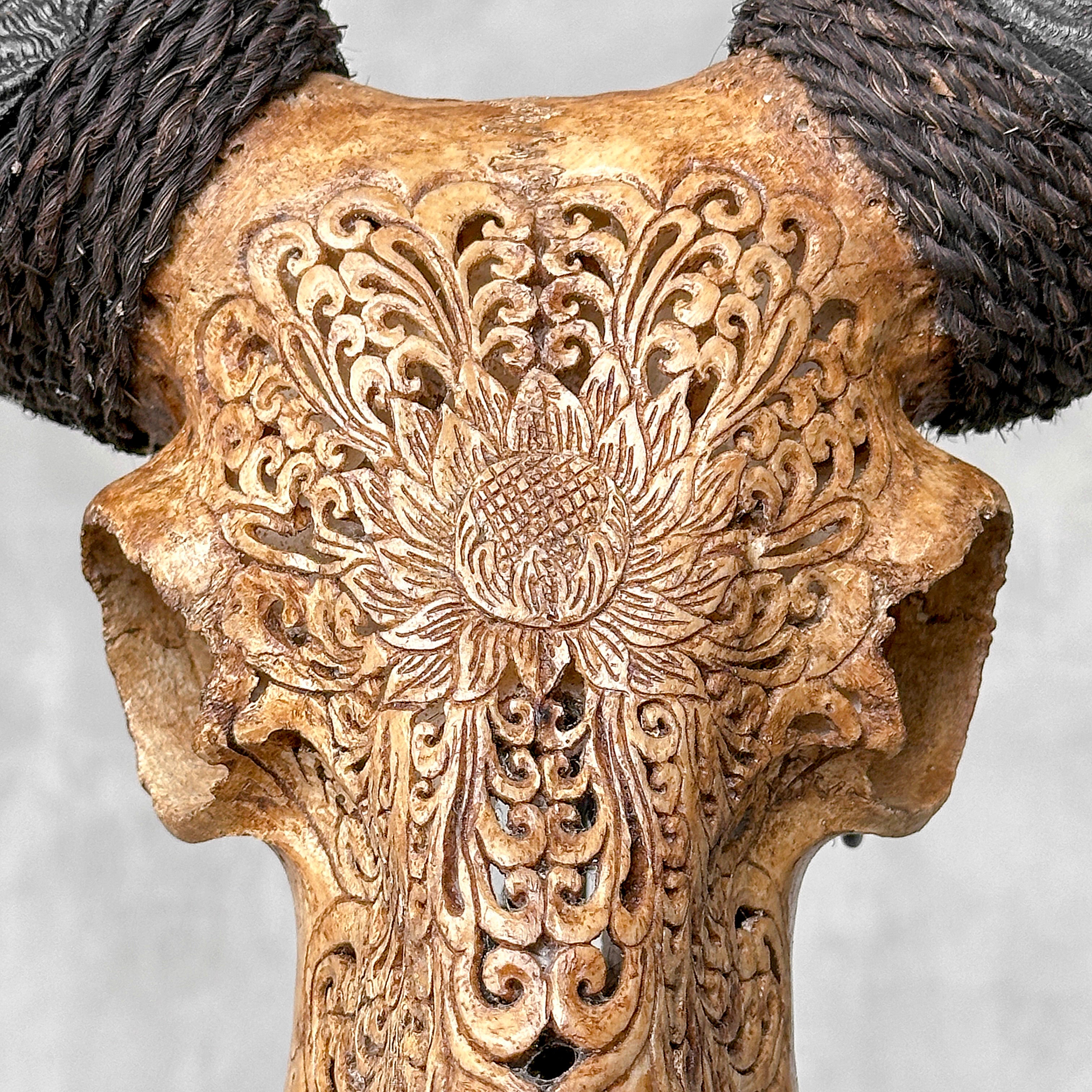 Carved Ram Skull with Big Lotus motif on stand - Skull,A/161