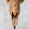 Carved Ram Skull with Big Lotus motif on stand - Skull,A/161