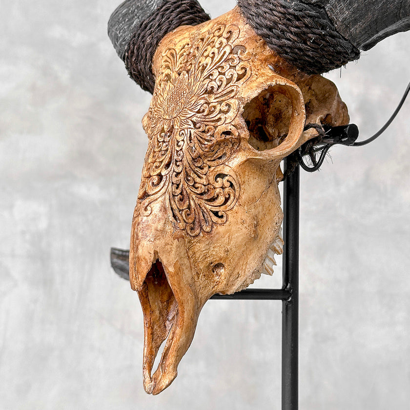 Carved Ram Skull with Big Lotus motif on stand - Skull,A/161