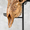 Carved Ram Skull with Big Lotus motif on stand - Skull,A/161