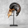 Carved Ram Skull with Big Lotus motif on stand - Skull,A/161