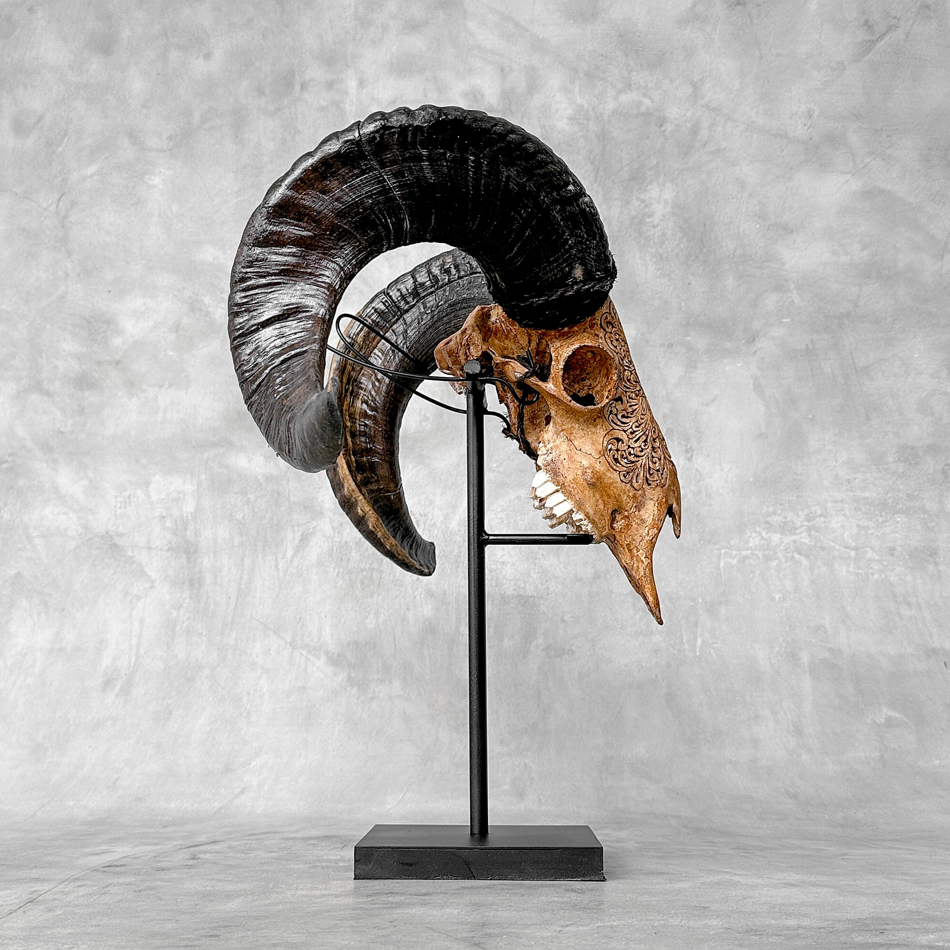 Carved Ram Skull with Big Lotus motif on stand - Skull,A/161