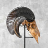 Carved Ram Skull with Big Lotus motif on stand - Skull,A/161