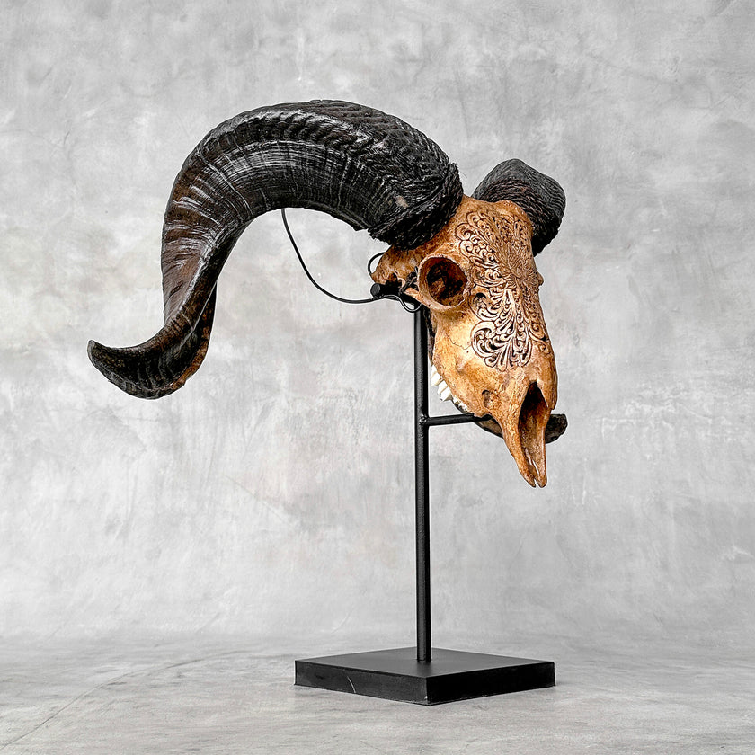 Carved Ram Skull with Big Lotus motif on stand - Skull,A/161