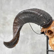 Carved Ram Skull with Big Lotus motif on stand - Skull,A/161