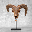 Brown Ram Skull Carved Horns with Star Mandala motif on stand - Skull,A/166