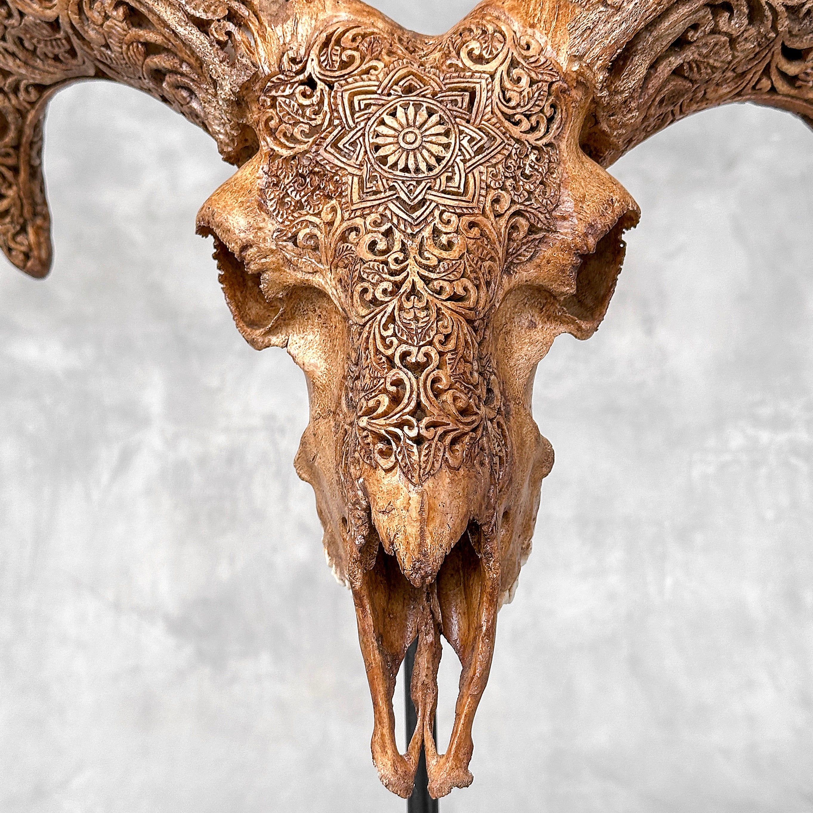 Brown Ram Skull Carved Horns with Star Mandala motif on stand - Skull,A/166