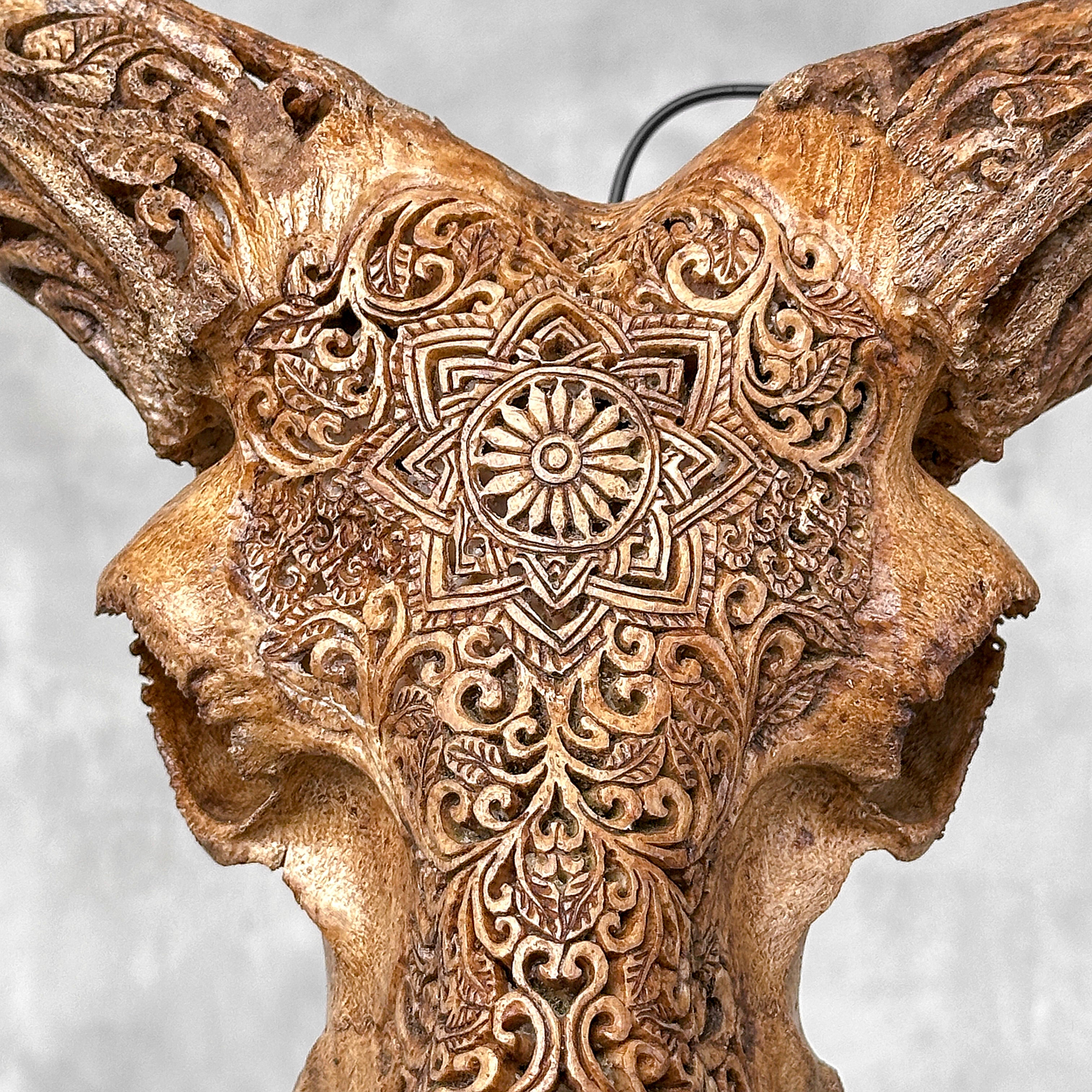 Brown Ram Skull Carved Horns with Star Mandala motif on stand - Skull,A/166