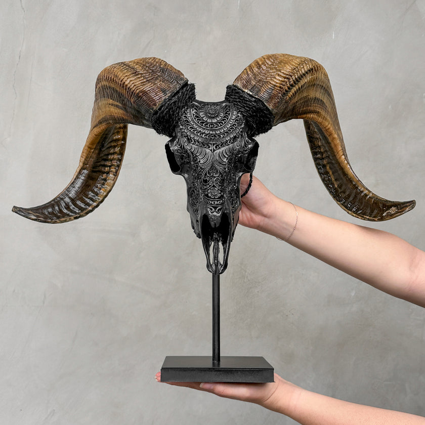Carved Ram Skull with Badong Motif - Black Wall Art Decor for Boho, Rustic & Eclectic Interiors