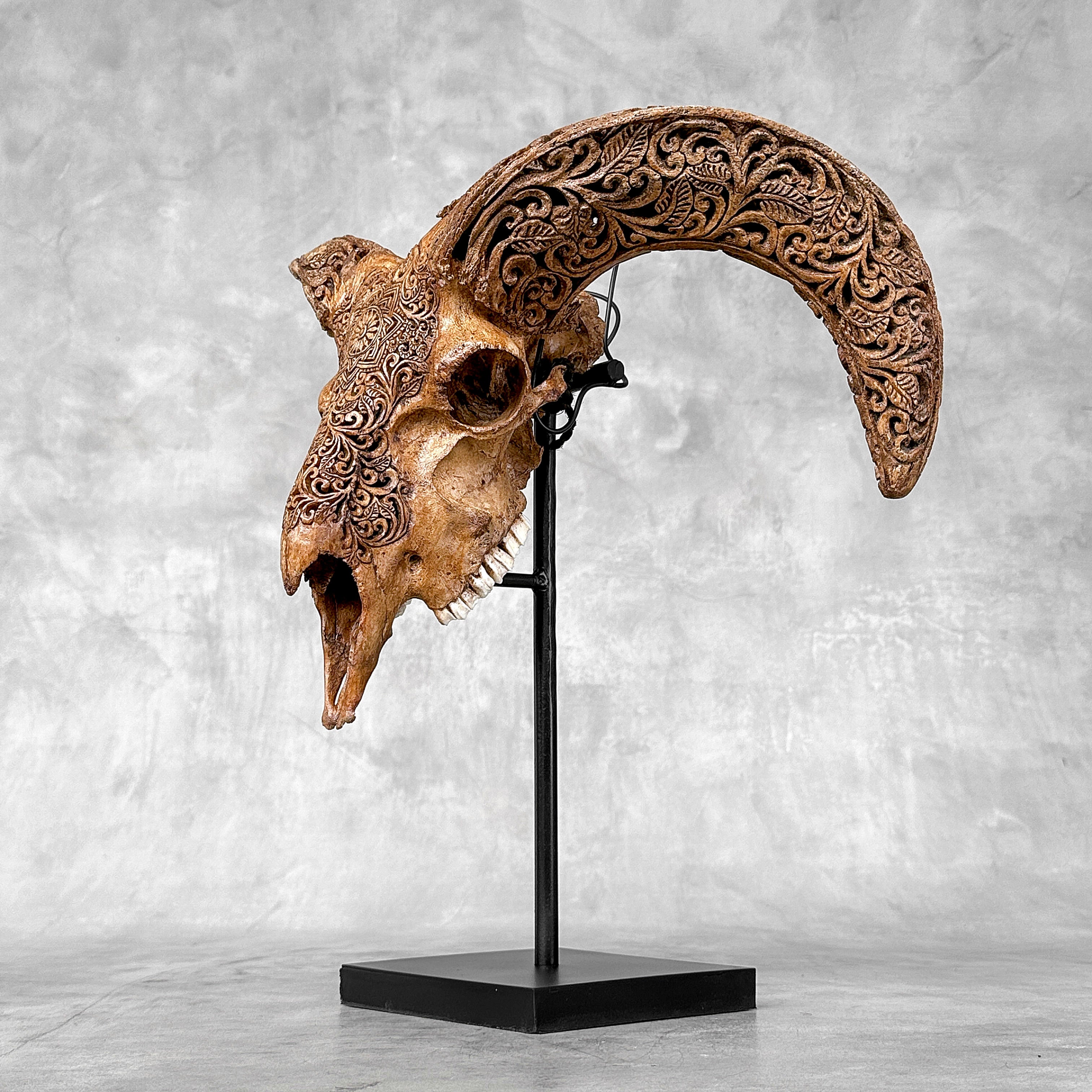 Brown Ram Skull Carved Horns with Star Mandala motif on stand - Skull,A/166