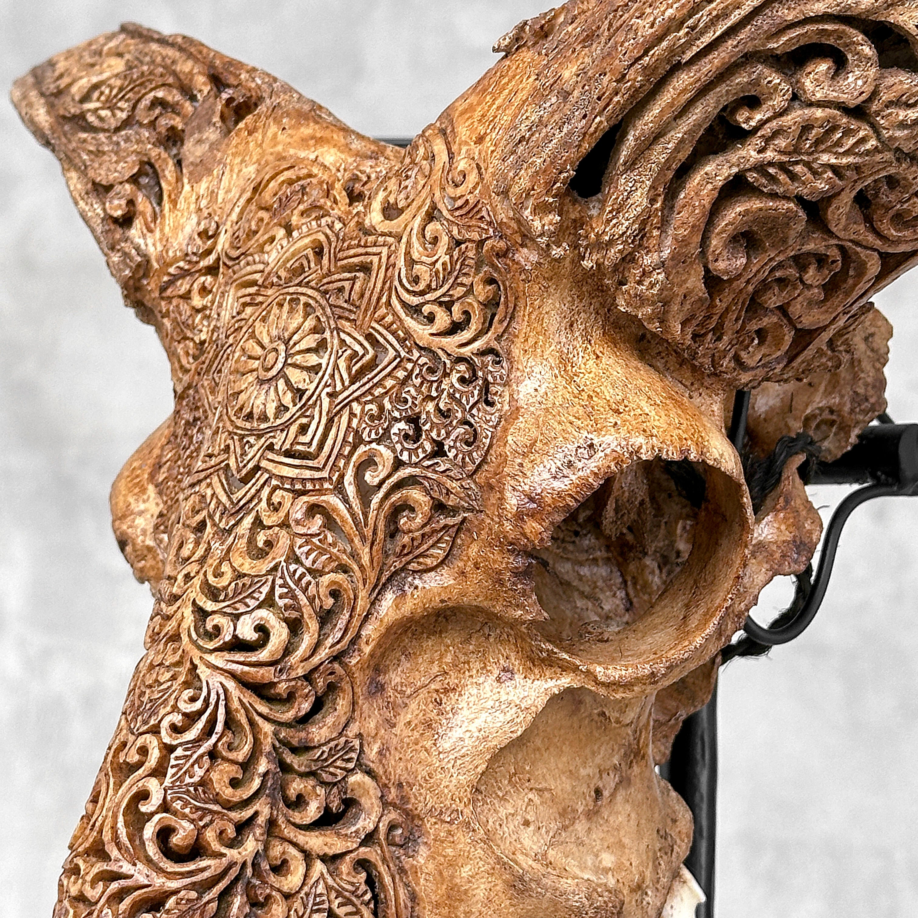 Brown Ram Skull Carved Horns with Star Mandala motif on stand - Skull,A/166