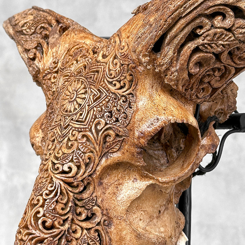 Brown Ram Skull Carved Horns with Star Mandala motif on stand - Skull,A/166