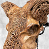 Brown Ram Skull Carved Horns with Star Mandala motif on stand - Skull,A/166