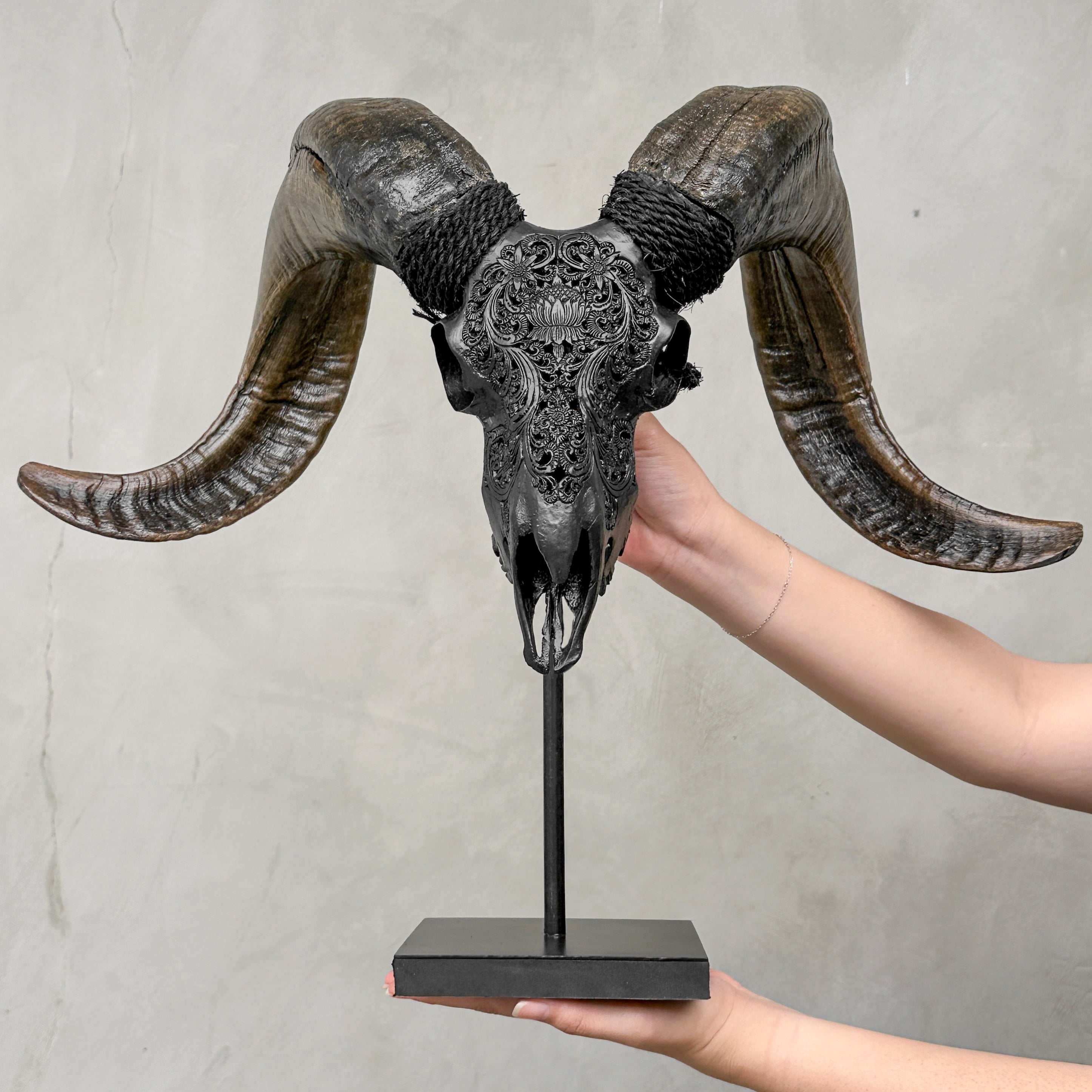 Carved Ram Skull with Big Lotus Motif - Black Wall Art Decor for Boho, Rustic & Eclectic Interiors - Skull,A/114
