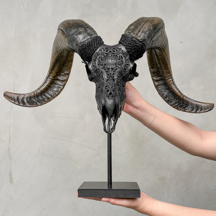 Carved Ram Skull with Big Lotus Motif - Black Wall Art Decor for Boho, Rustic & Eclectic Interiors