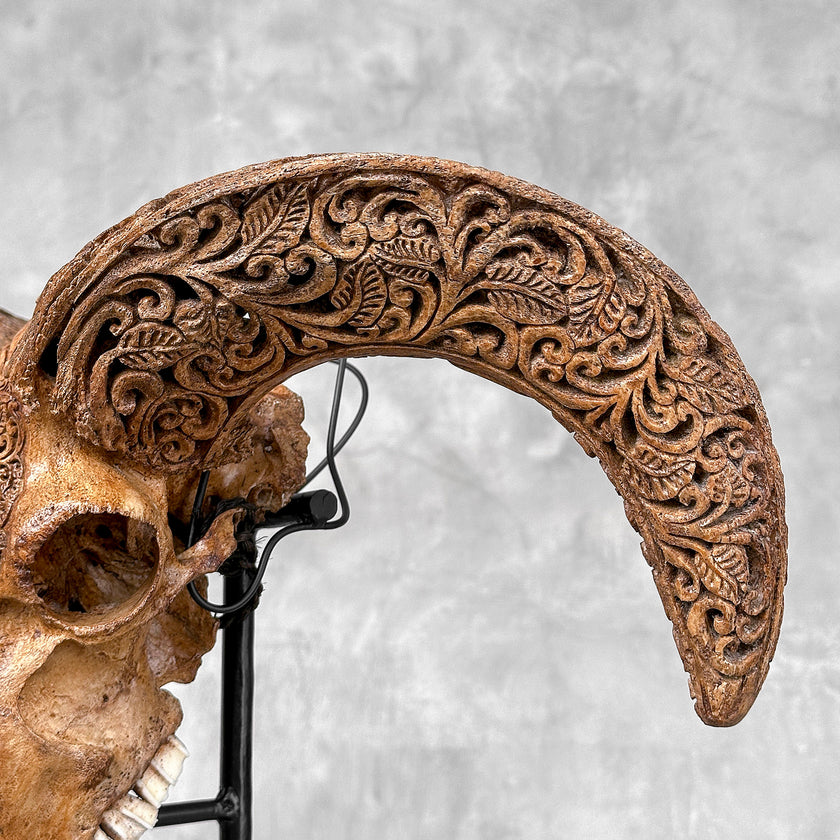 Brown Ram Skull Carved Horns with Star Mandala motif on stand - Skull,A/166