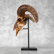 Brown Ram Skull Carved Horns with Star Mandala motif on stand - Skull,A/166