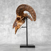 Brown Ram Skull Carved Horns with Star Mandala motif on stand - Skull,A/166