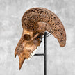 Brown Ram Skull Carved Horns with Star Mandala motif on stand - Skull,A/166