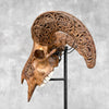 Brown Ram Skull Carved Horns with Star Mandala motif on stand - Skull,A/166