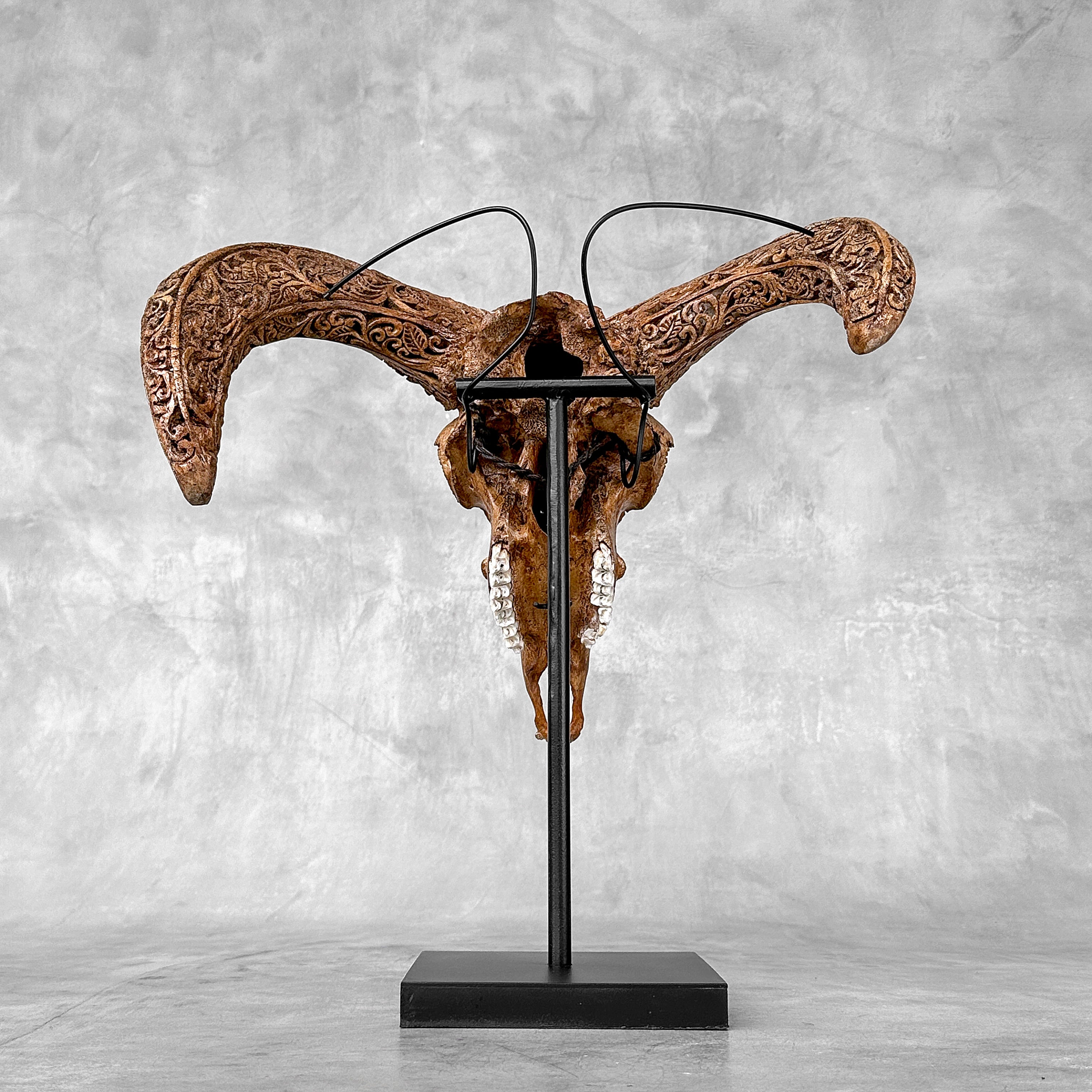Brown Ram Skull Carved Horns with Star Mandala motif on stand - Skull,A/166