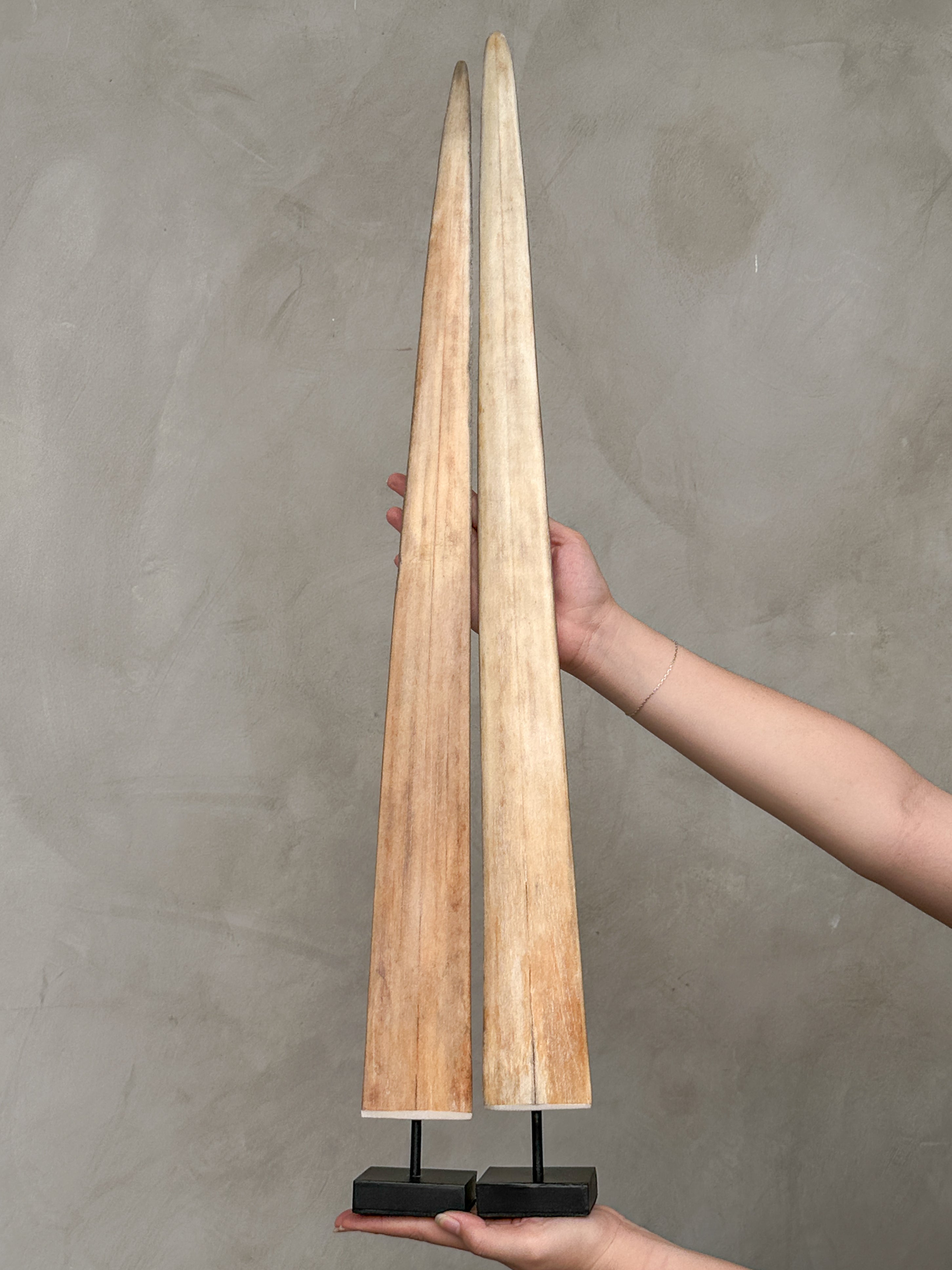 Pair of Natural Tusks on Stand – Rustic Bone Sculpture, Tribal-Inspired Home Decor - Tusk,A/049