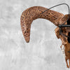 Brown Ram Skull Carved Horns with Star Mandala motif on stand - Skull,A/166