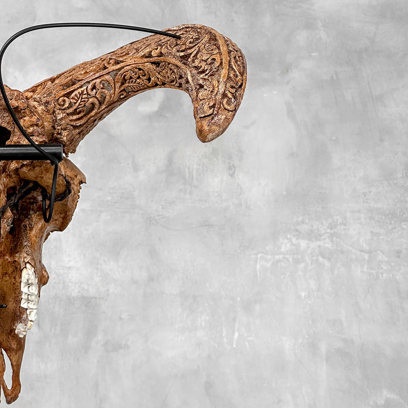 Brown Ram Skull Carved Horns with Star Mandala motif on stand - Skull,A/166