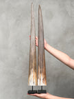 Pair of Natural Tusks on Stand – Tribal Bone Sculpture, Rustic Decor, Organic AccentTusk,A/044