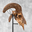 Brown Ram Skull Carved Horns with Star Mandala motif on stand - Skull,A/166
