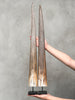 Pair of Natural Tusks on Stand – Tribal Bone Sculpture, Rustic Decor, Organic AccentTusk,A/044