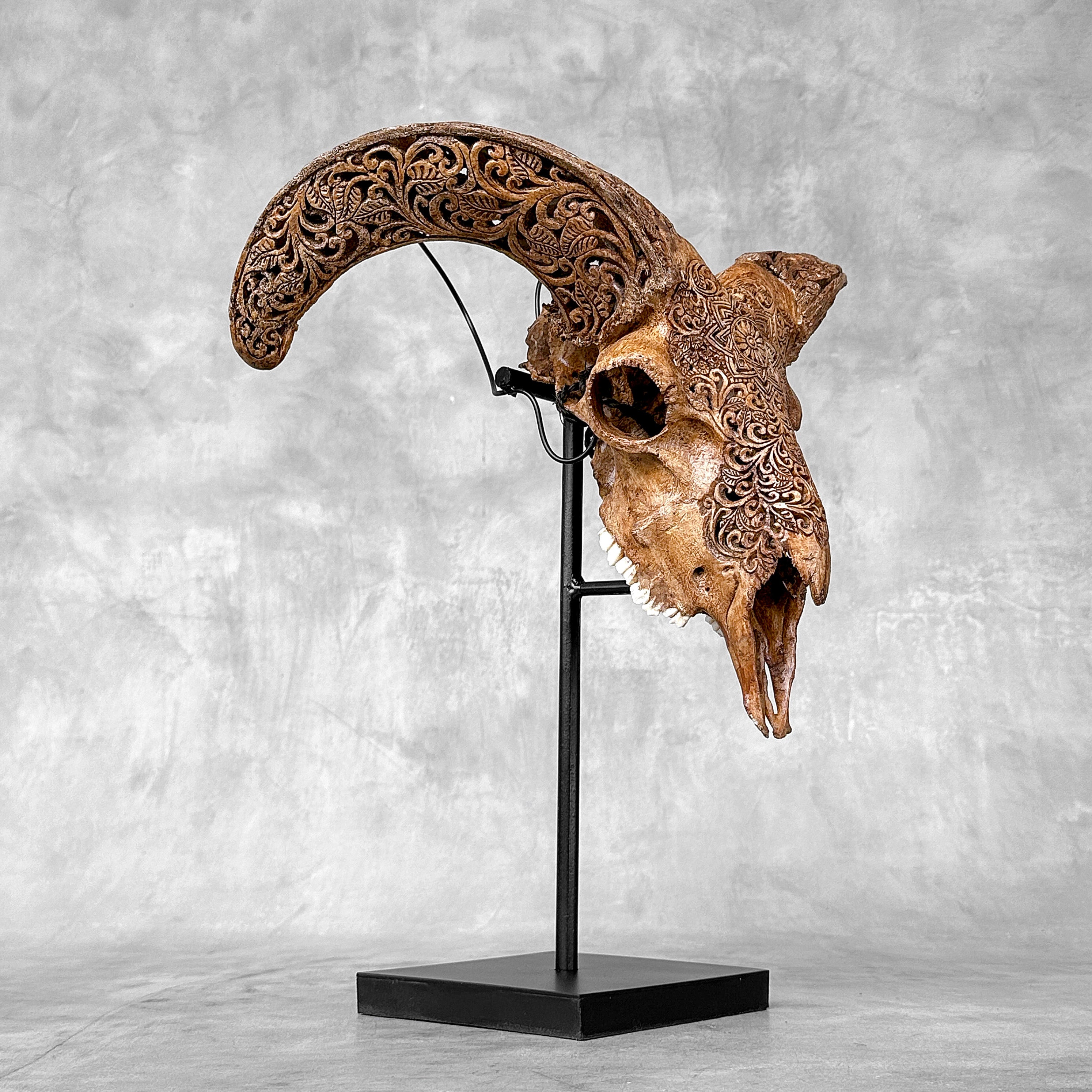 Brown Ram Skull Carved Horns with Star Mandala motif on stand - Skull,A/166