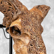 Brown Ram Skull Carved Horns with Star Mandala motif on stand - Skull,A/166
