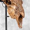 Brown Ram Skull Carved Horns with Star Mandala motif on stand - Skull,A/166