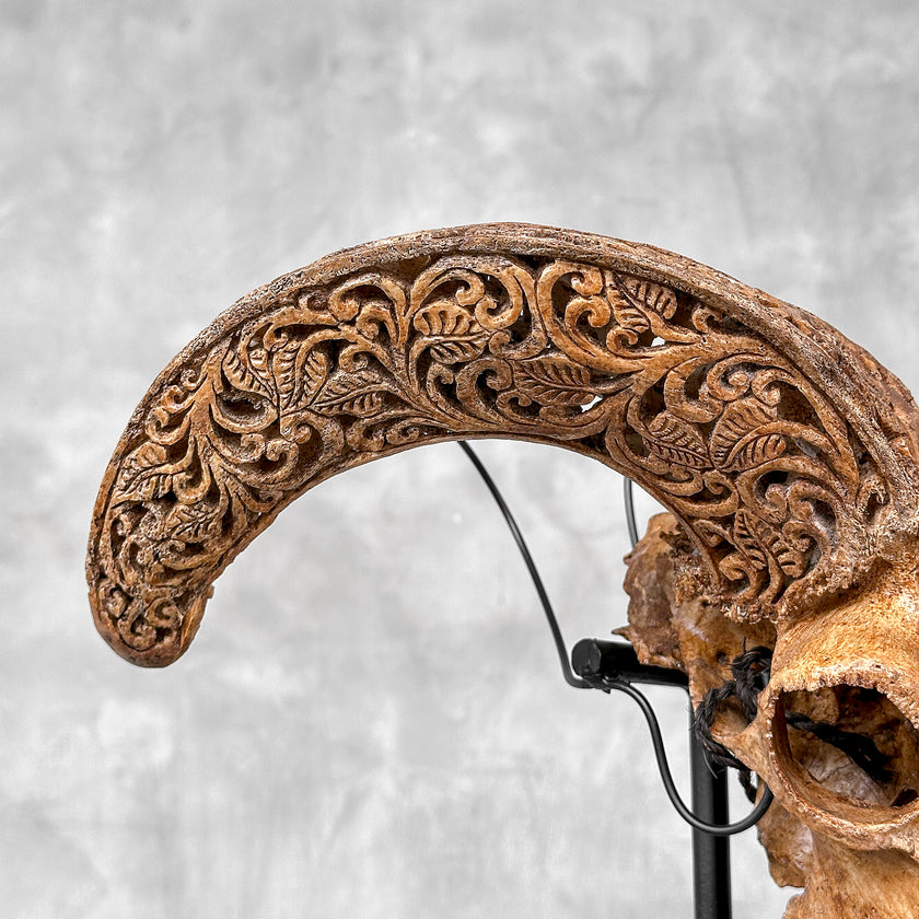 Brown Ram Skull Carved Horns with Star Mandala motif on stand - Skull,A/166