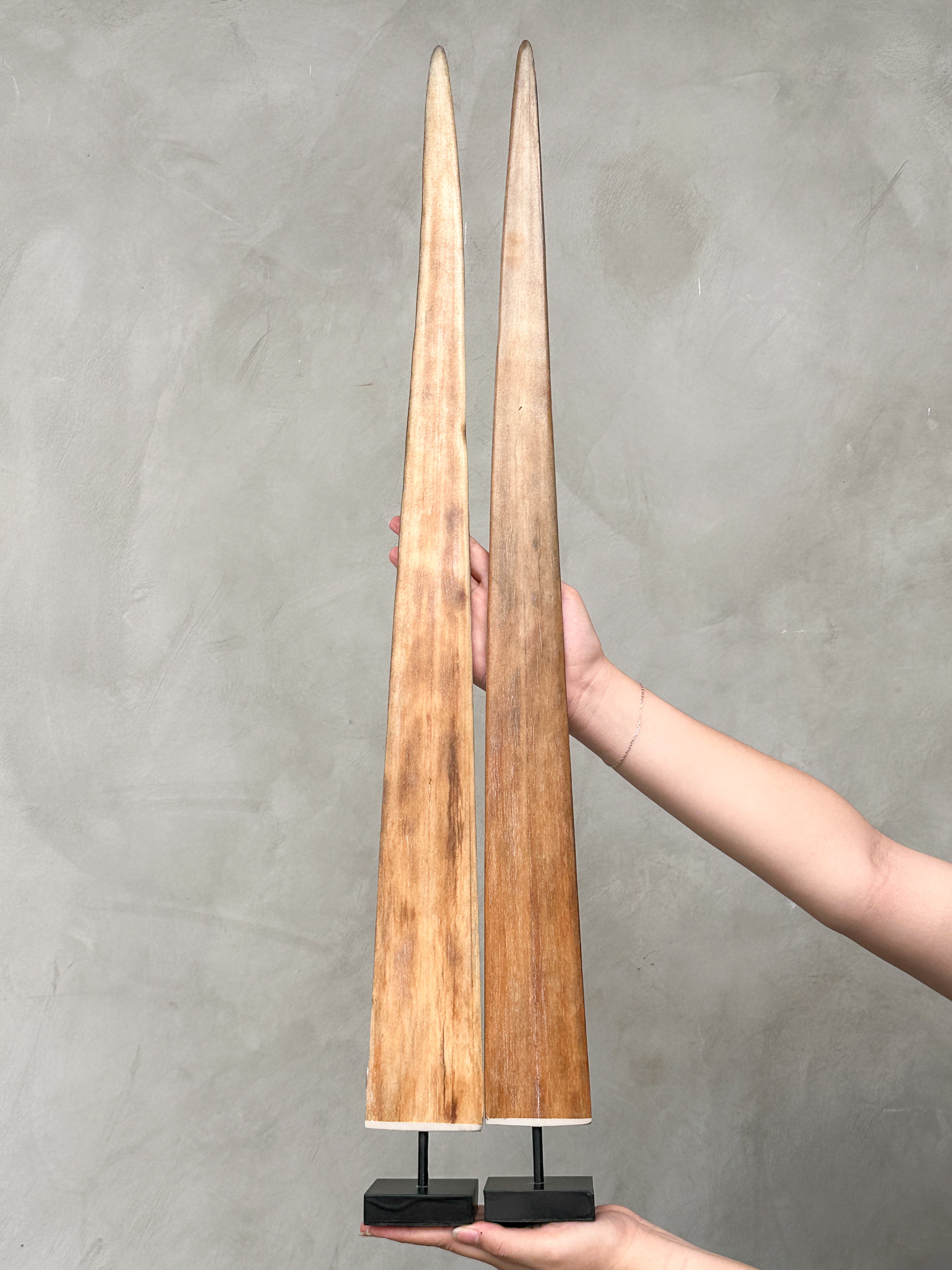 Pair of Natural Tusks on Stand – Rustic Bone Sculpture, Tribal-Inspired Decor, Earthy Accent - Tusk,A/050