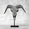 Grey Ram Skull Carved Horns with Infinity motif on stand - Skull,A/164