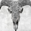 Grey Ram Skull Carved Horns with Infinity motif on stand - Skull,A/164