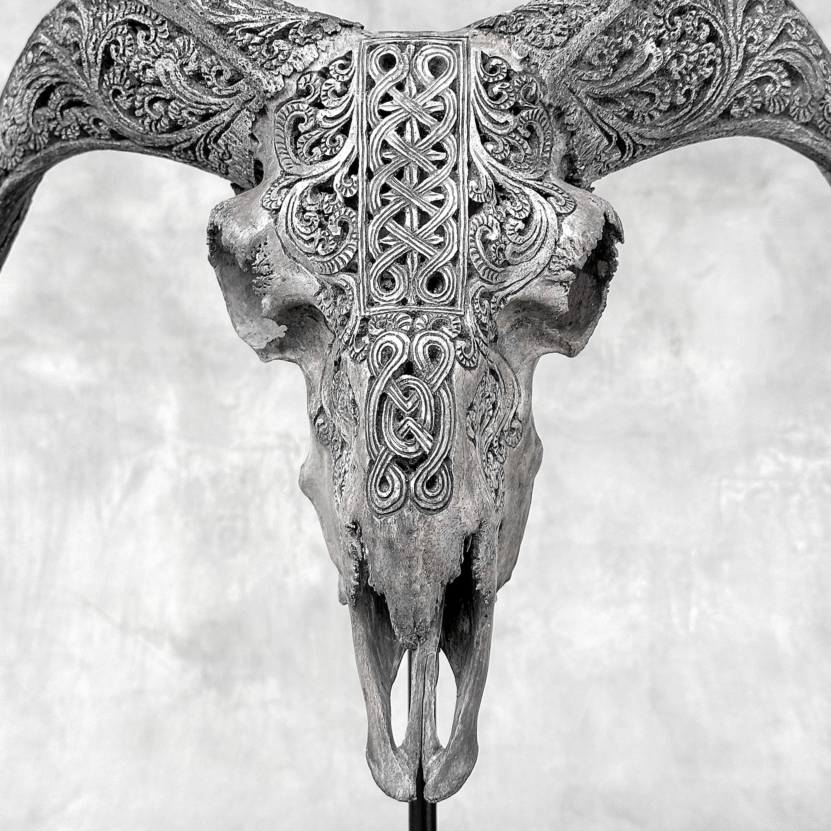 Grey Ram Skull Carved Horns with Infinity motif on stand - Skull,A/164