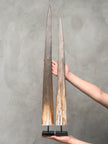 Pair of Natural Tusks on Stand – Rustic Tribal Decor, Bone Sculpture, African Style Accent - Tusk,A/043