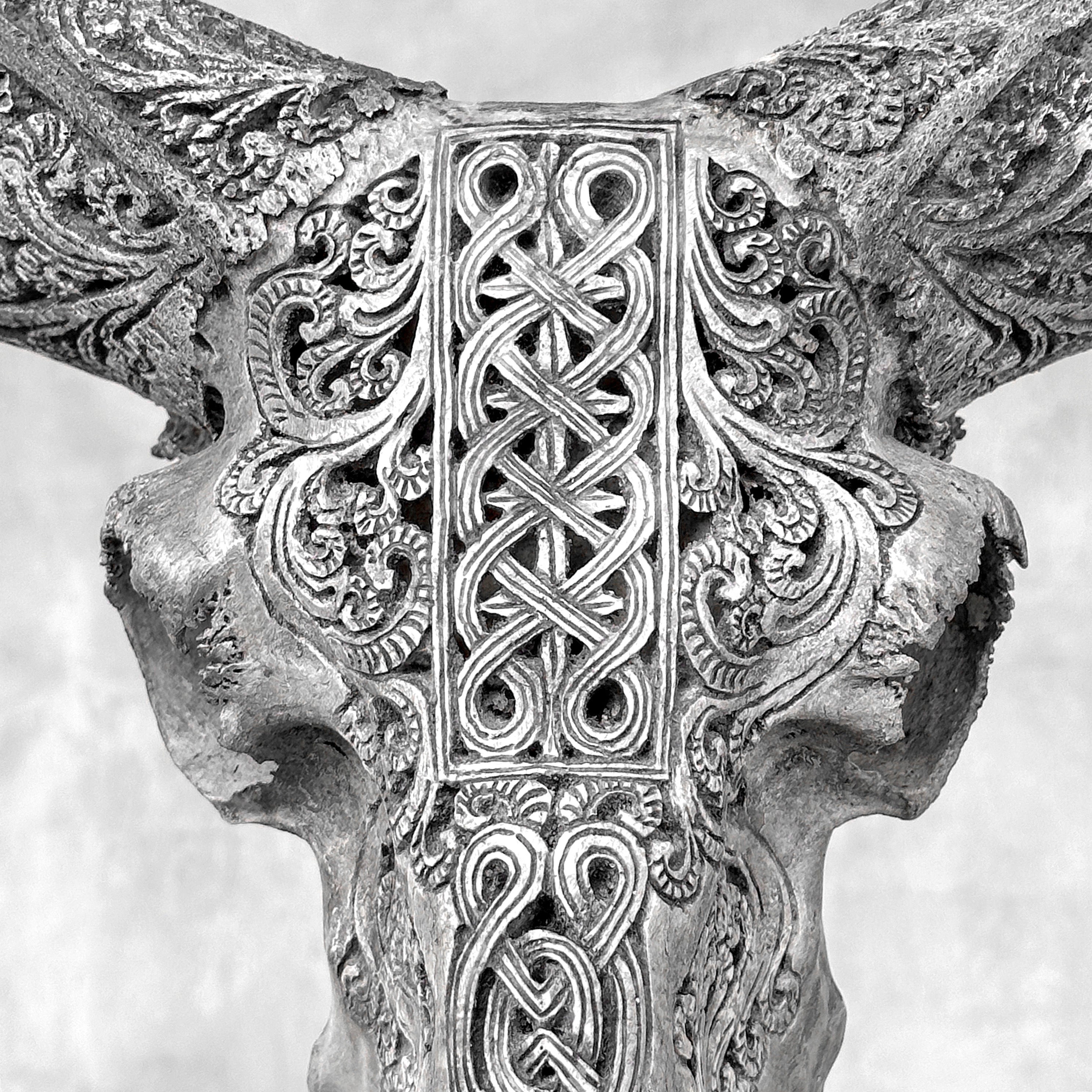 Grey Ram Skull Carved Horns with Infinity motif on stand - Skull,A/164