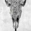 Grey Ram Skull Carved Horns with Infinity motif on stand - Skull,A/164