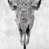 Grey Ram Skull Carved Horns with Infinity motif on stand - Skull,A/164