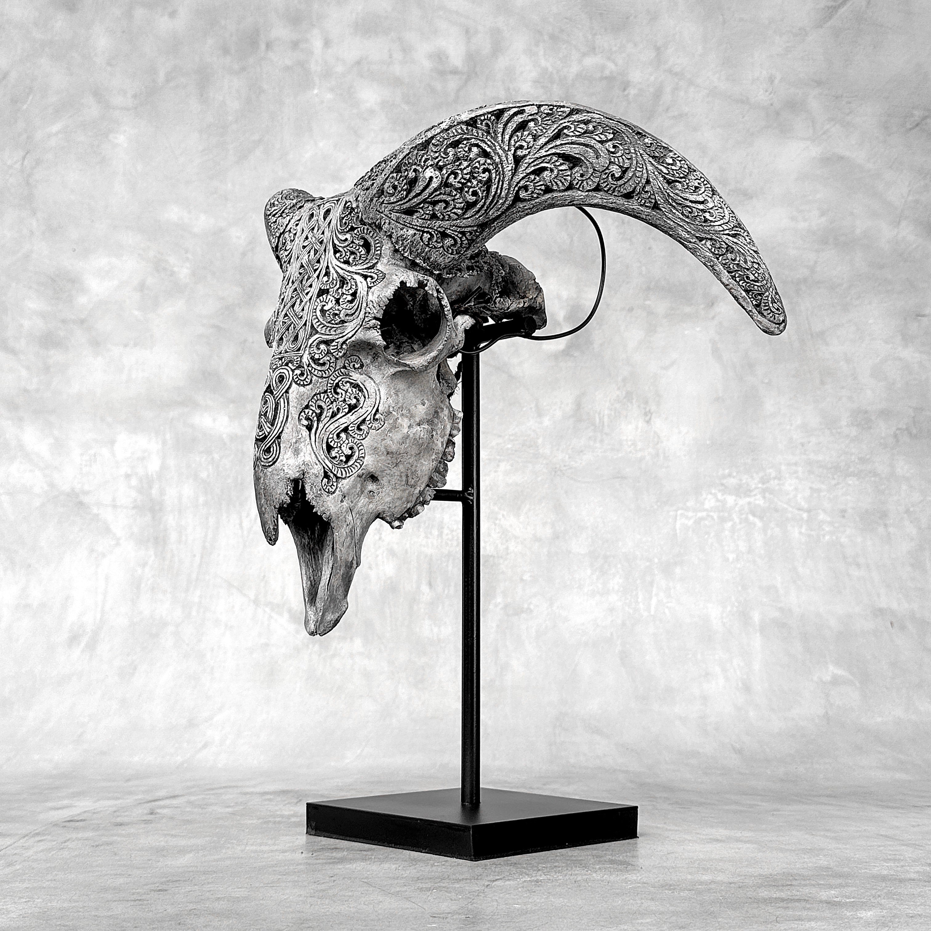 Grey Ram Skull Carved Horns with Infinity motif on stand - Skull,A/164