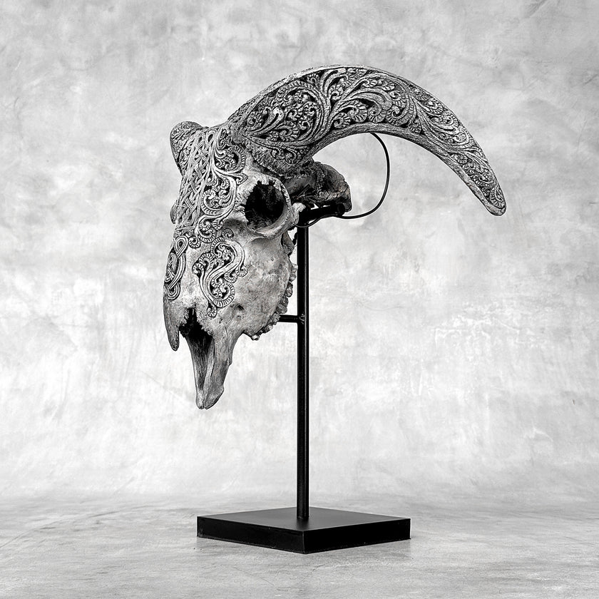 Grey Ram Skull Carved Horns with Infinity motif on stand - Skull,A/164